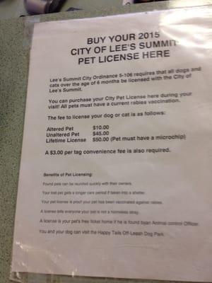 City license