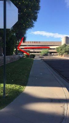 Patient entrance in the back off Wells Fargo rd