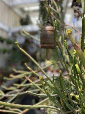 garden accessories