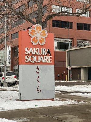 Sakura square 1/8/2022