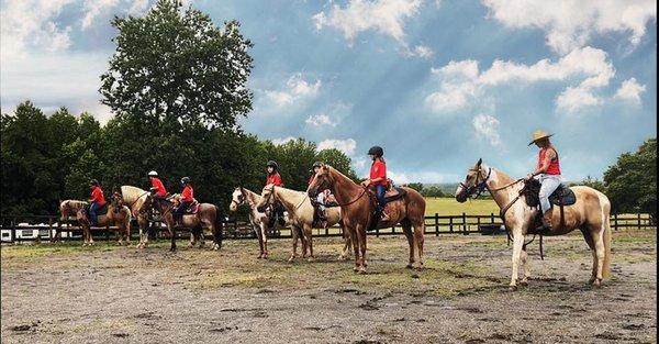 Horse Back Riding Lessons at Shady Creek Farm