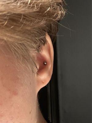 conch piercing