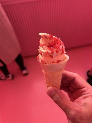 Museum of Ice Cream