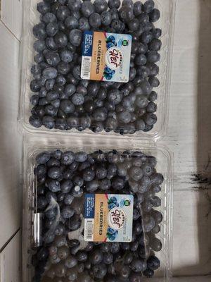 Bluberries are rich antioxidants