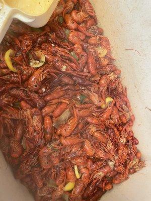 Must try boiled crawfish with reasonable prices