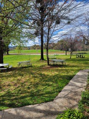 Picnic area