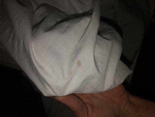 Blood on bed sheets, no the lady up front did not give us new ones cause everything was being cleaned