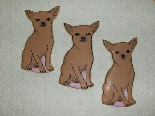 Chihuahuas as a birthday present...