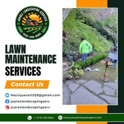 At Juarez Landscaping Services, we keep your lawn in tip-top condition with our lawn maintenance services.