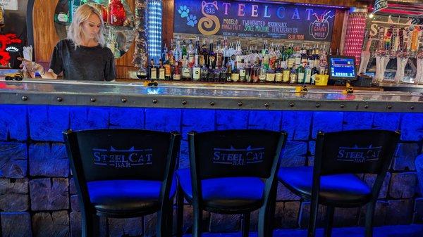 Steel Cat Bar