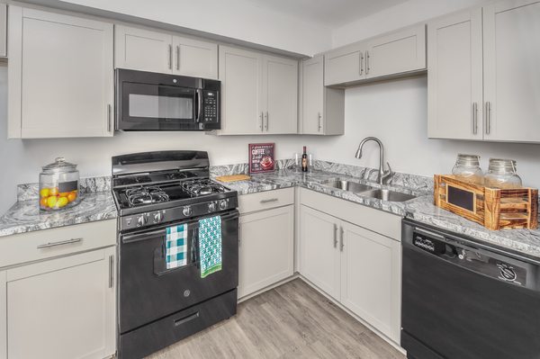 Renovated Unit Kitchen