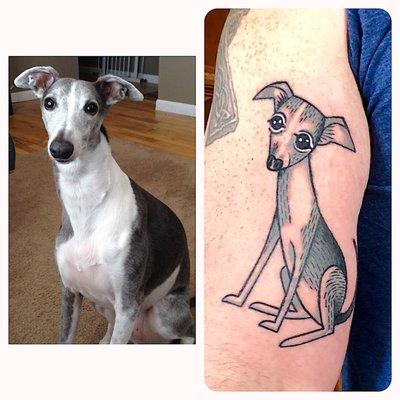 Fresh whippet by Brett Burnham