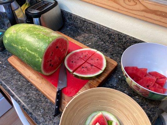 Me cutting the watermelon up right now!