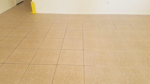 Tile & Grout Cleaning (HINT: The tile by the wall is clean.)