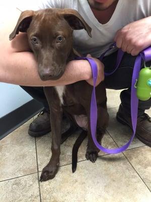 Nestle on her 1st visit to the vet :)