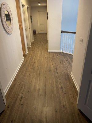 Absolute Best Flooring