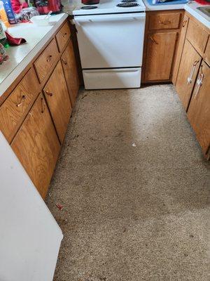 Carpet in kitchen