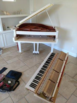 Action maintenance, pitch adjustment & tuning of a  baby grand that hadn't been tuned in 10 years. From coffee table to instrument in 3 hrs.