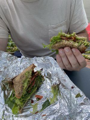 BLTA