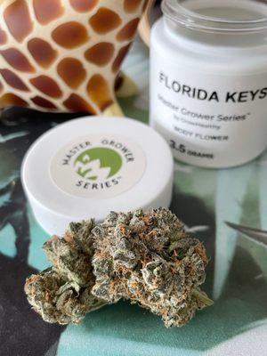 Master Grower Series: Florida Keys