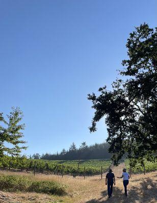 It's that time of year! Harvest is just around the corner and Rob and Emilie are visiting our vineyards to see how the fruit is ripening!