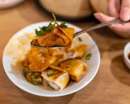 Spicy vegetable & pork wontons