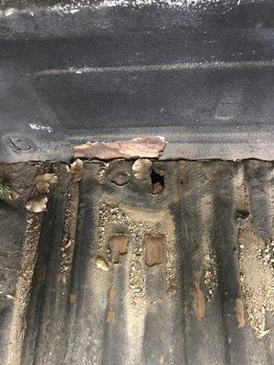 Rusty bed covered up by a bedliner.