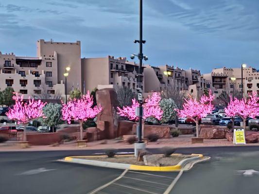 Cool pink lights on trees