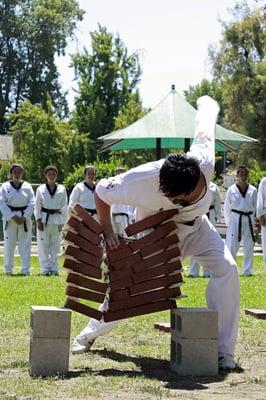 One of the demos during an annual picnic