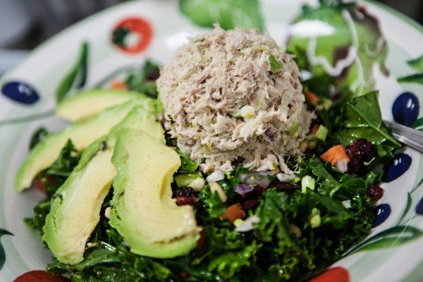 Kale Salad w/ Tuna Salad