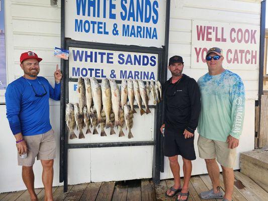 Pointing to the bait @fishbites Redfish, whiting, trout.