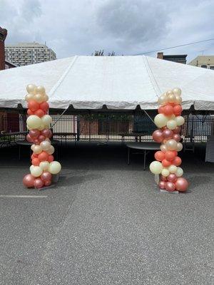 Organic balloon column