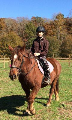 Alli, our beginner lesson pony.