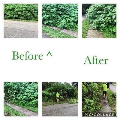 Community Service.  This is a sidewalk where several elderly residents walk and the path was blocked.