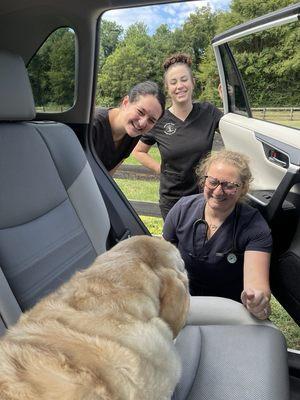 Car vet visit.