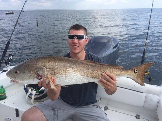 Bull Redfish