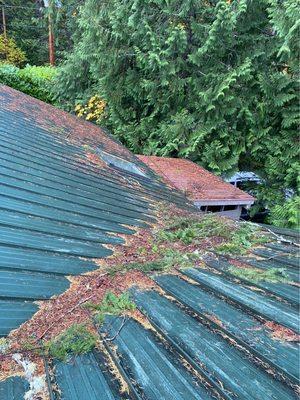 Pre work shot of metal roof cleaning.