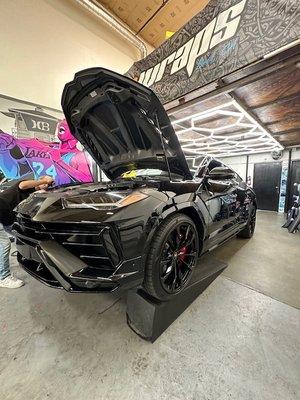 Lamborghini Urus Front End PPF