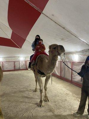 Camel Ride... I think we funded his food for the next month... and the kids loved it!