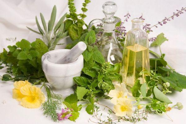 Essential Oils - Plants That Heal!