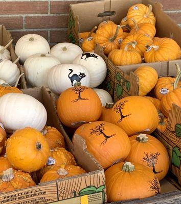 Cute Pumpkins!