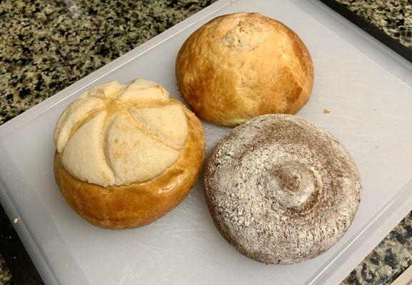 Tasty Pan Dulce