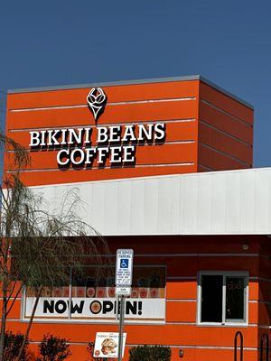 Bikini Beans Coffee