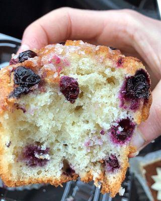 Blueberry muffin