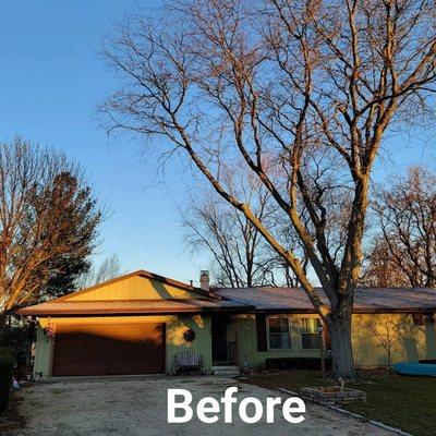 Limb hanging over driveway and garage.