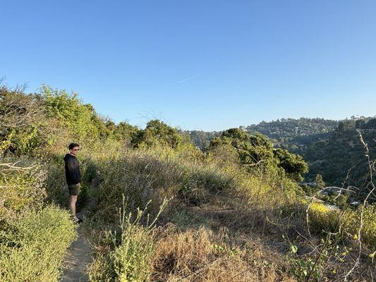 Beautiful views but a little desolate and unkept with overgrown shrub on most of skinny trail. Thistles and bees abound.