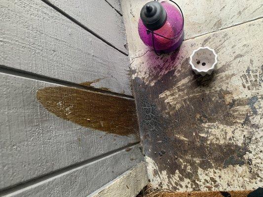 Unknown liquid plastered on patio