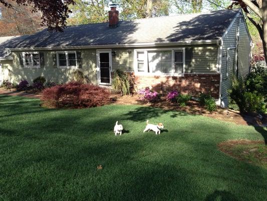 Natures choice organic approach lawn care is pet and environmentally  friendly,