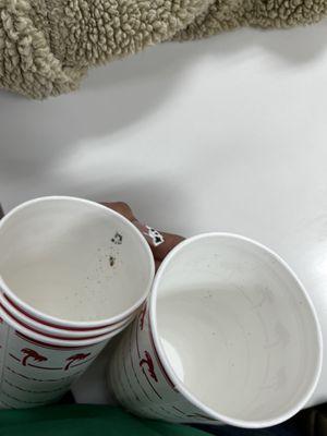 Mold in cups