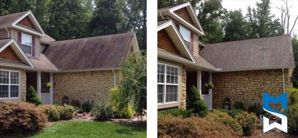 Treatment of black streaking algae from asphalt shingle roof.